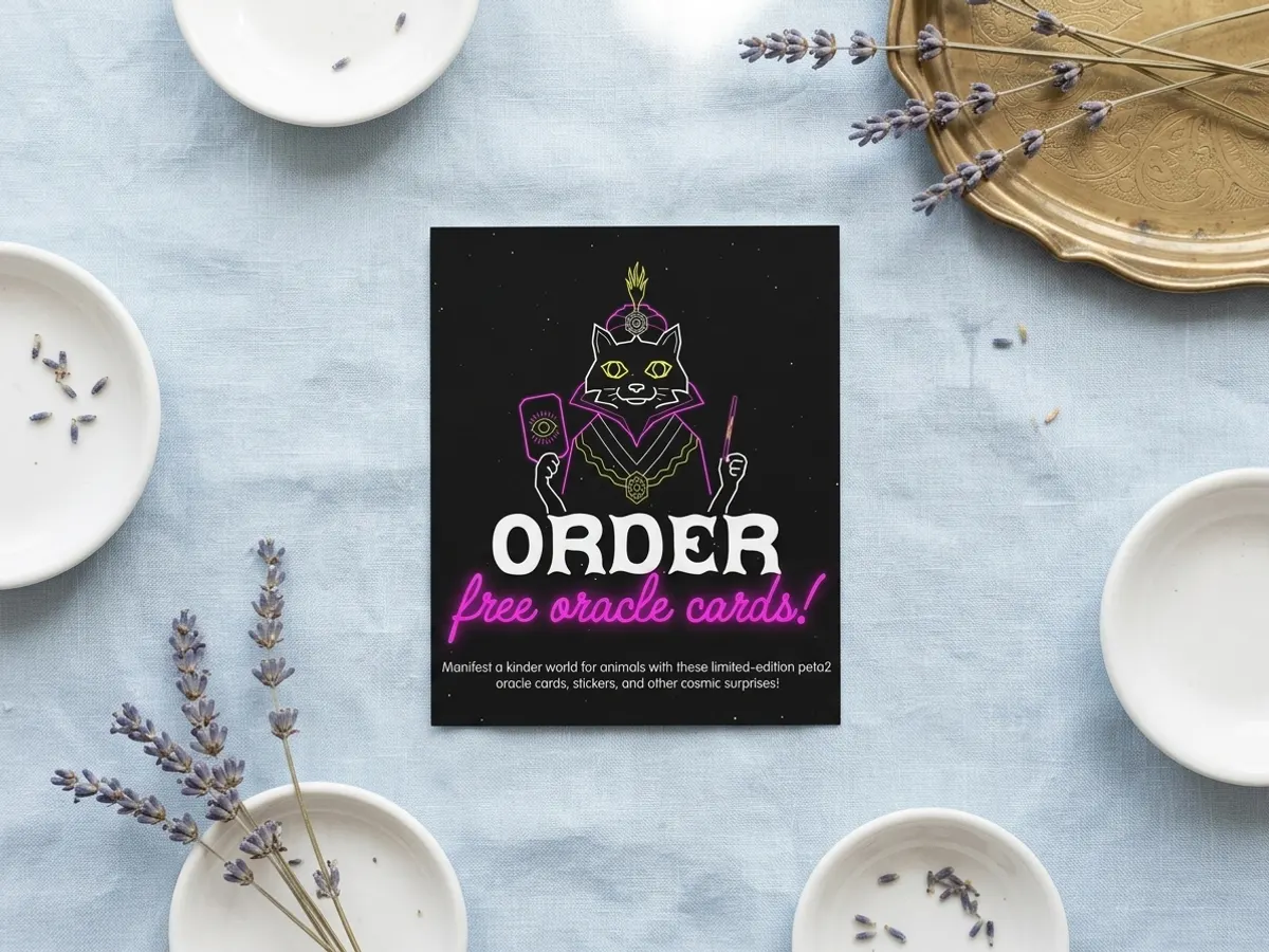 Claim FREE Oracle Cards, Stickers & More, mystical items arranged overhead on blue fabric