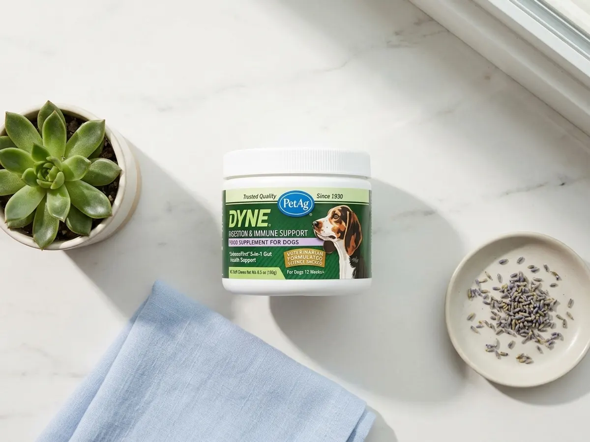 Discover DYNE Soft Chews with a FREE Sample, overhead flat lay with natural props