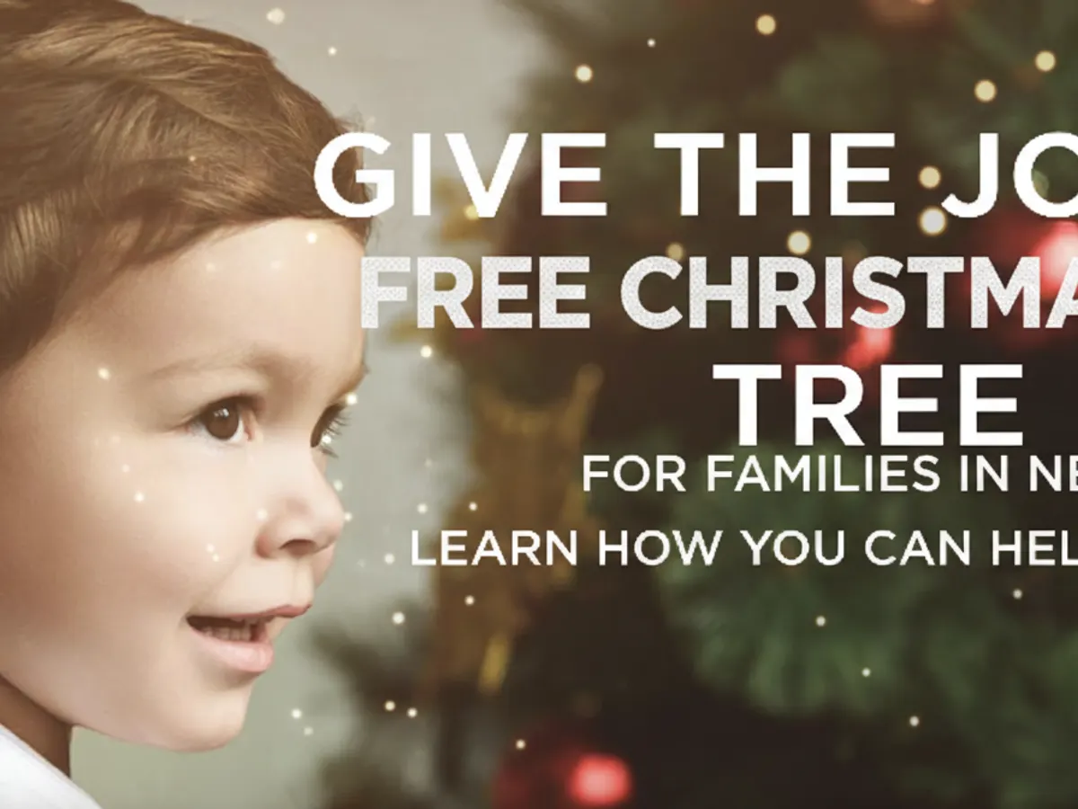 Sharing the Spirit: Free Christmas Trees for Families in Need — free sample: Brighten your Christmas with a FREE decorated tree from The Christmas Tree Project! Apply now—limite