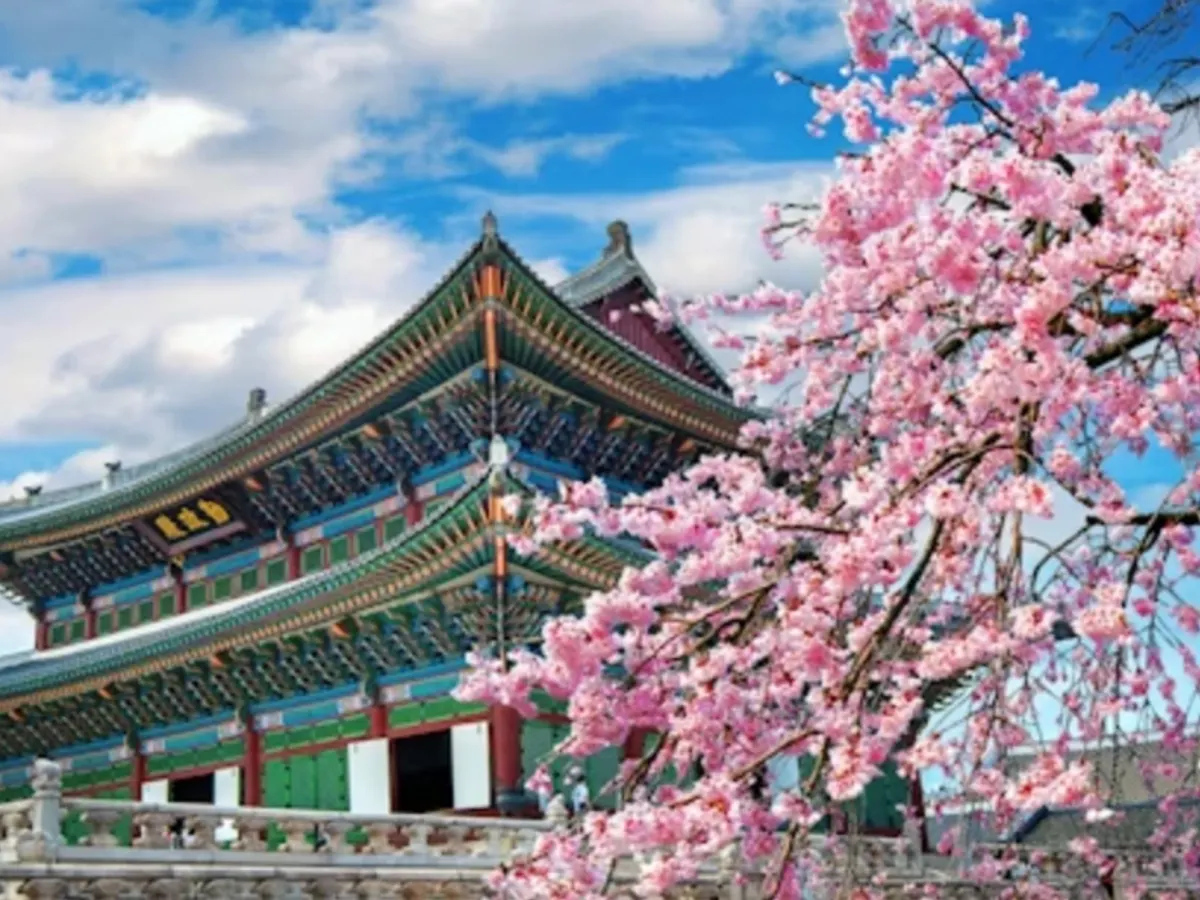All You Imagine. All in Korea. All Yours to Win! — free sample: Enter the Korea Now sweepstakes for a chance to win 2 airline tickets to South Korea! One-time entry