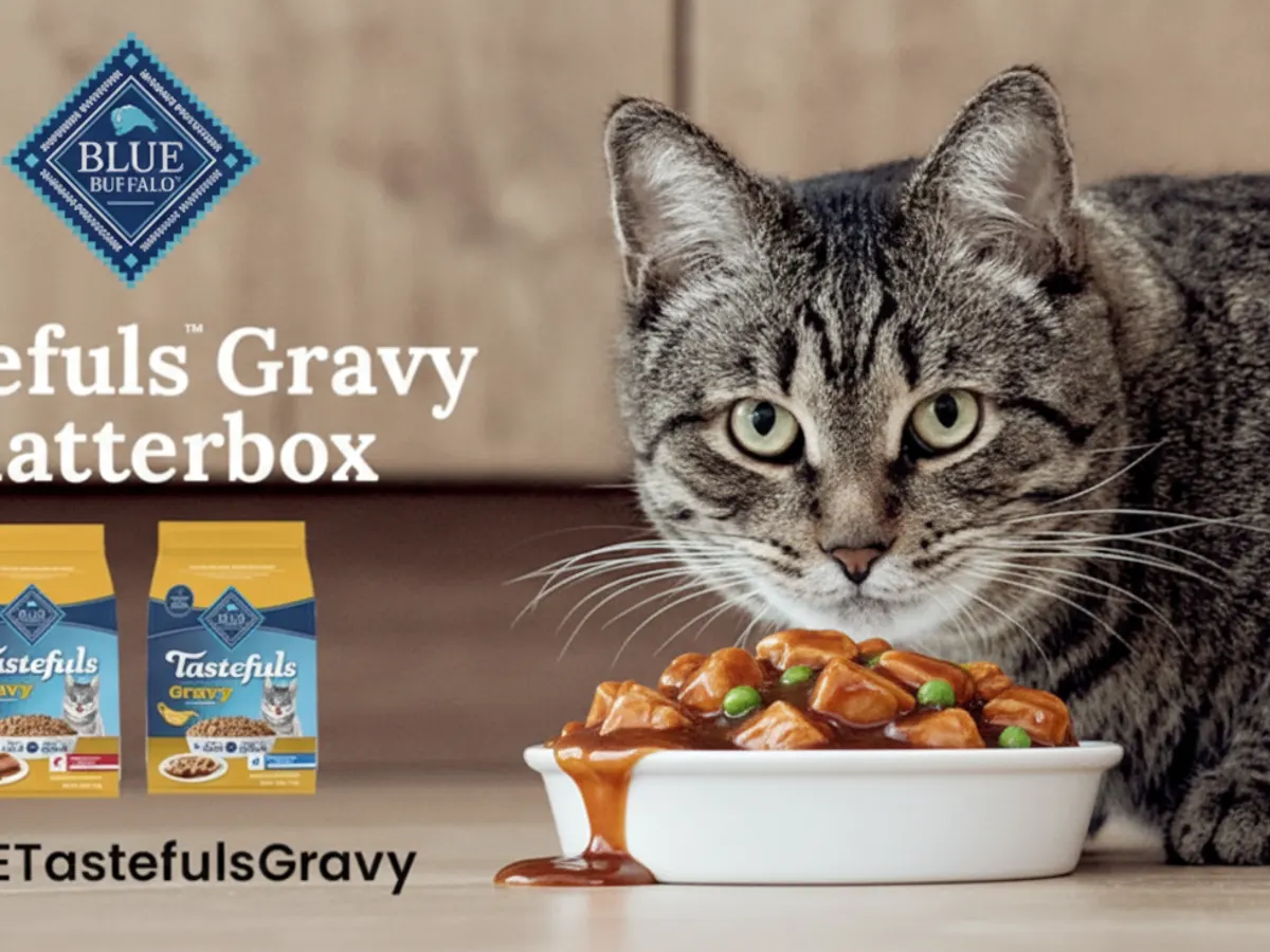 Purr-fect Freebie! Get a FREE Blue Buffalo Tastefuls Gravy Kit