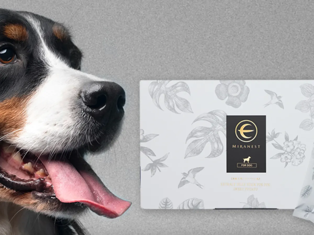 Spoil Your Dog for Free — 30 MIRANEST Jelly Sticks (Worth $120!)