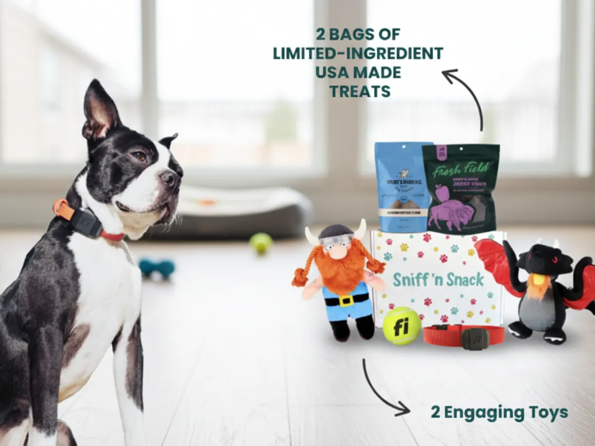 Sniff It. Snack It. Love It. Free Dog Box + Free Shipping!