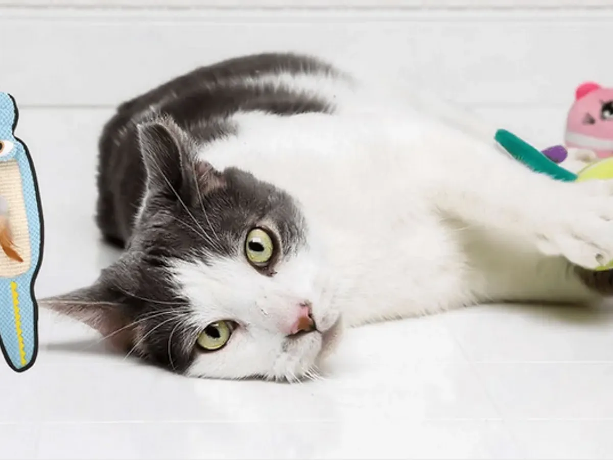 Feline Fun Awaits – Get Your Free Hartz Toys
