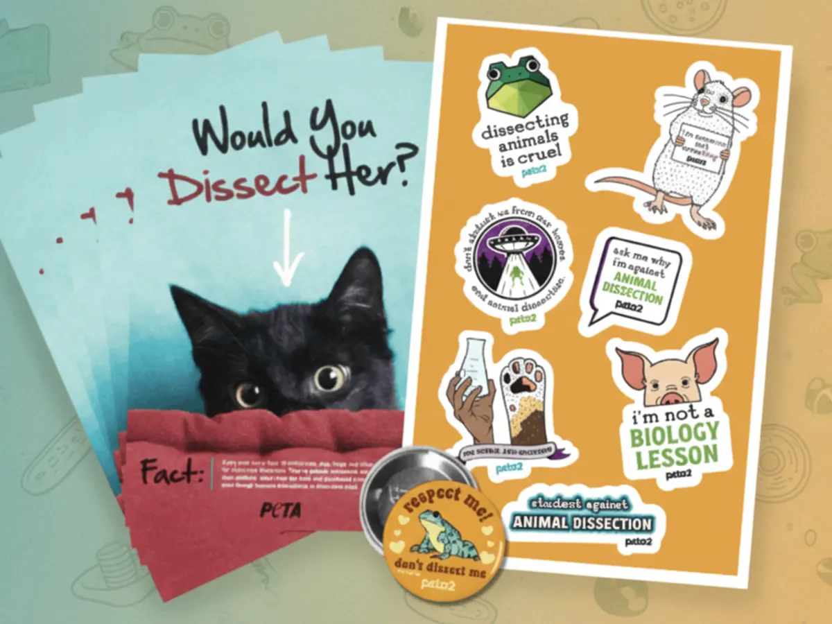 Students Against Animal Dissection Stickers — free sample: Students 13–24 can get free Students Against Animal Dissection stickers—perfect for laptops, water b