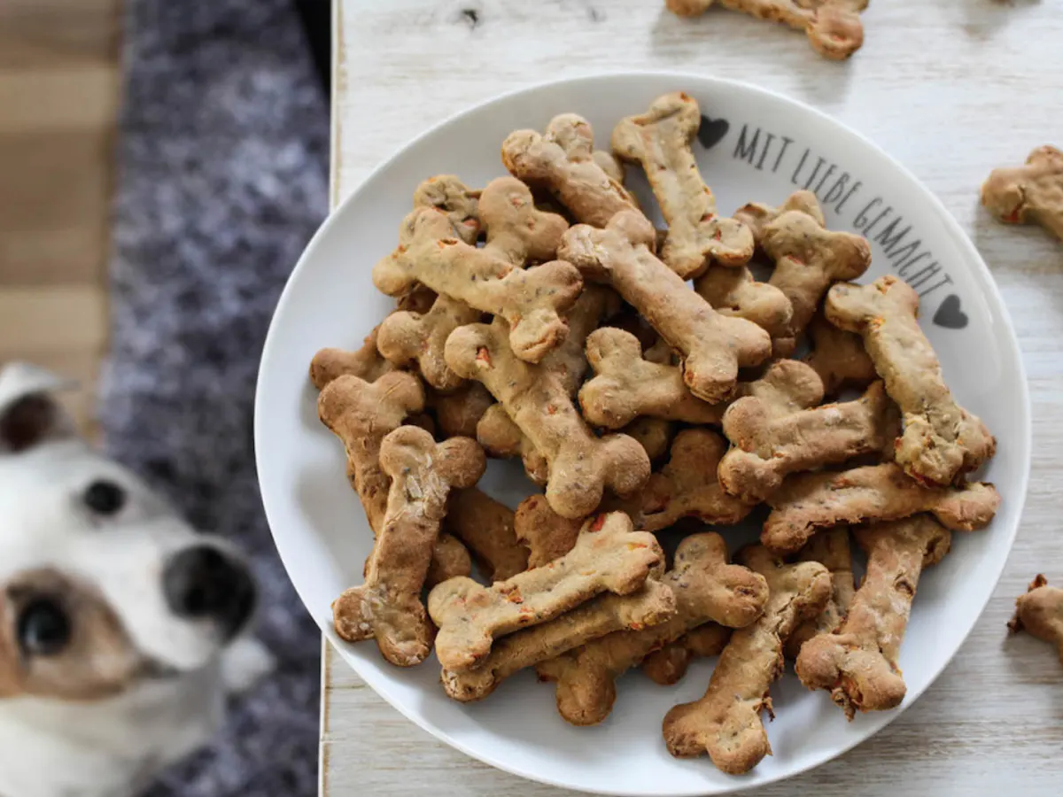 Dog Treats — free sample: Fill out the Free Dog Treats Product Testing Form for a chance to receive free treats to test with y