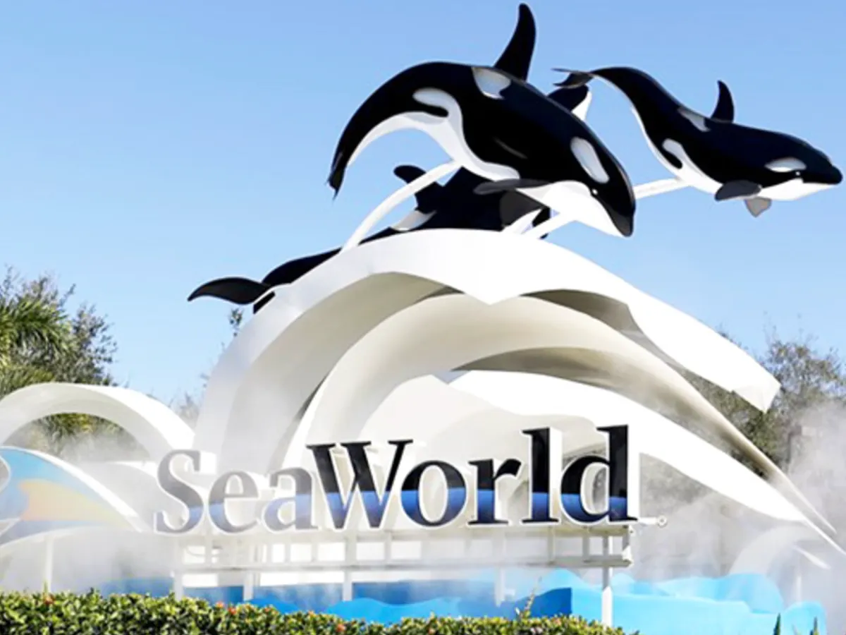 SeaWorld Teacher Pass — free sample: SeaWorld offers free unlimited admission to K–12 teachers in CA, AZ, TX, and FL! Log in with your Te