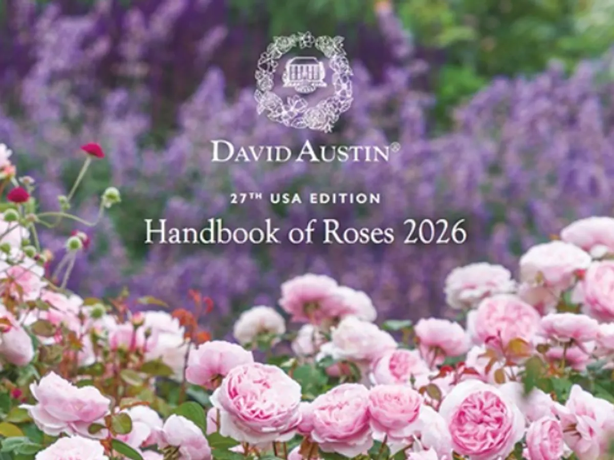 Rose Inspiration Guide — free sample: Get your free 2026 Handbook of Roses! This printed guide is perfect if you love roses or are plannin