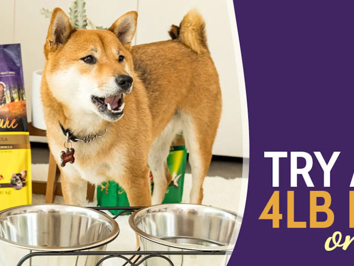 Zignature Dog Food
