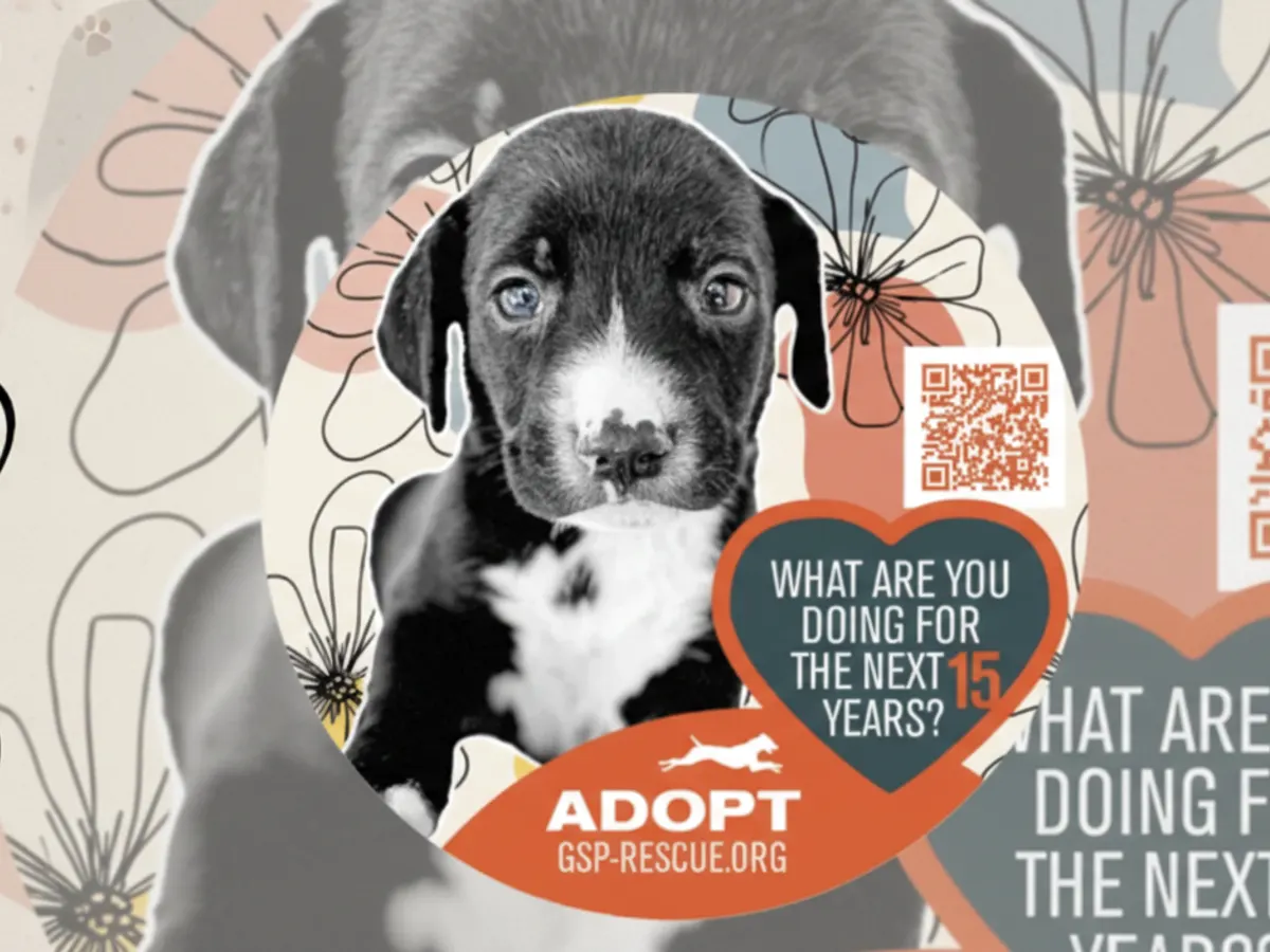GSP Rescue Puppy Sticker โ free sample: Get a FREE puppy sticker from GSP Rescue! ๐ถ Just complete the quick form. While supplies last.