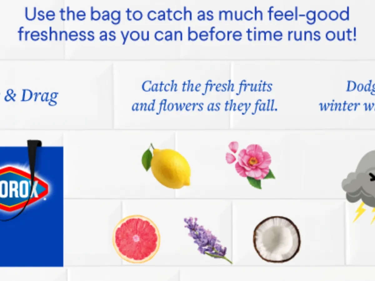 Clorox Prizes