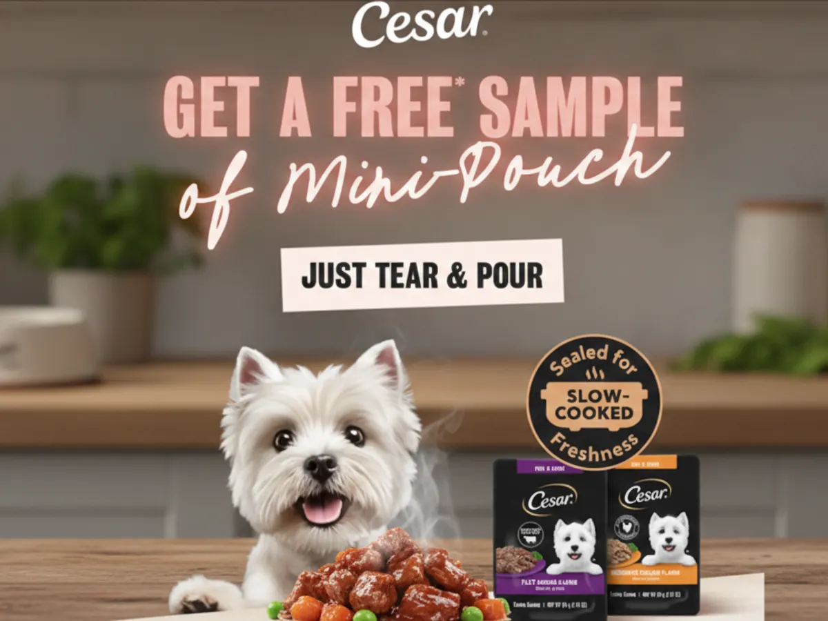 CESAR Mini-Pouch Dog Food