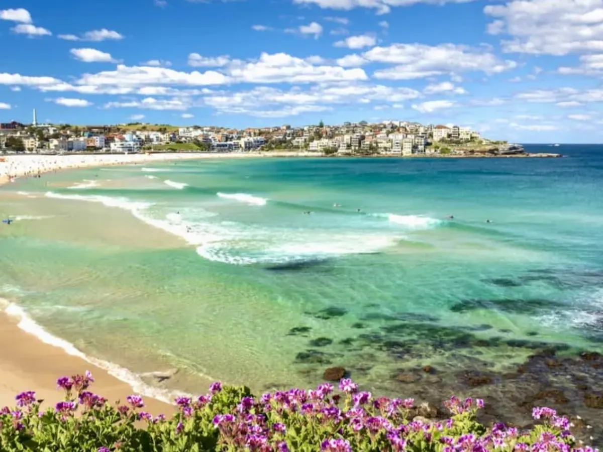 Ulta Bondi Sands Australia Trip — free sample: Enter the Ulta Bondi Sands Sweepstakes by March 7, 2025, for a chance to win a trip to Australia for
