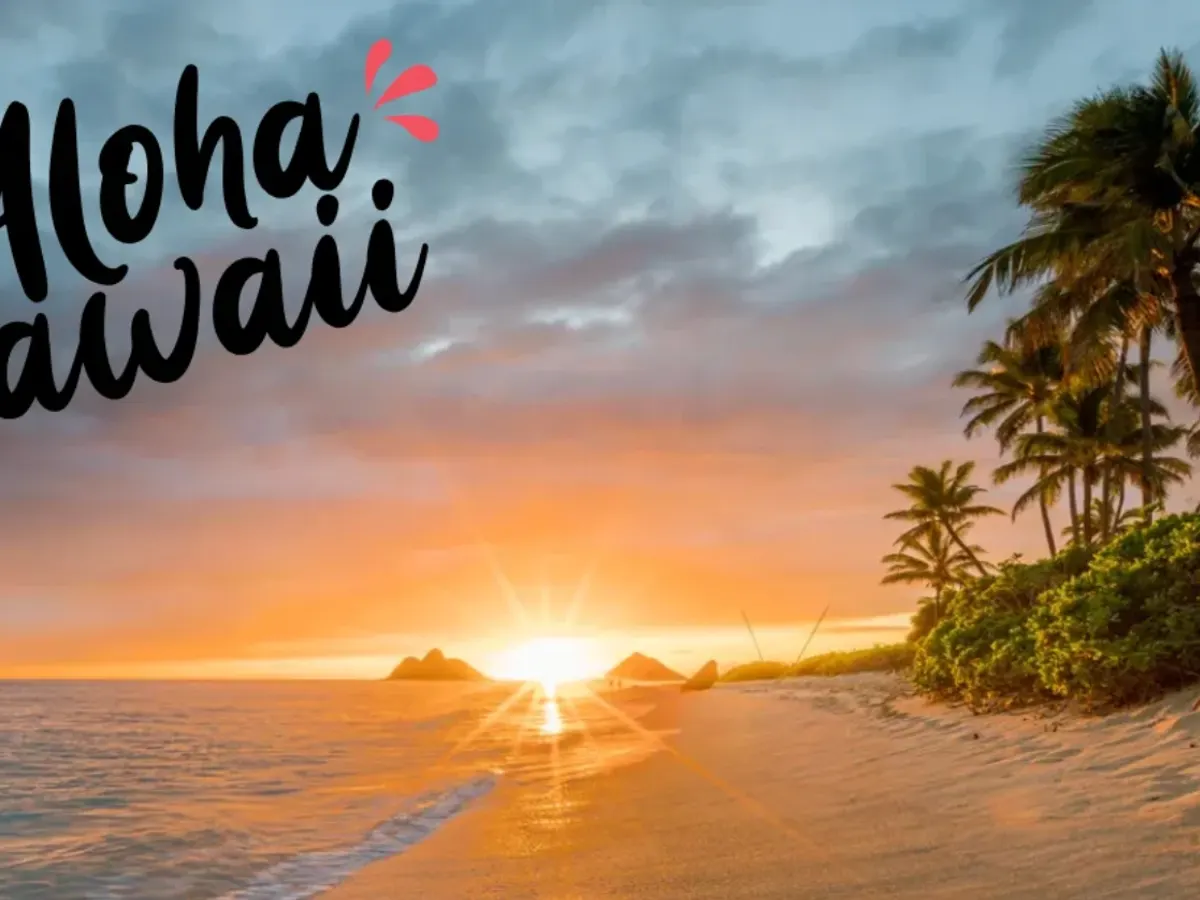 King's Hawaiian Sweepstakes — free sample: Enter the **KING’S HAWAIIAN Taste of Aloha Sweepstakes for a chance to win $20,000 for a Hawaii trip
