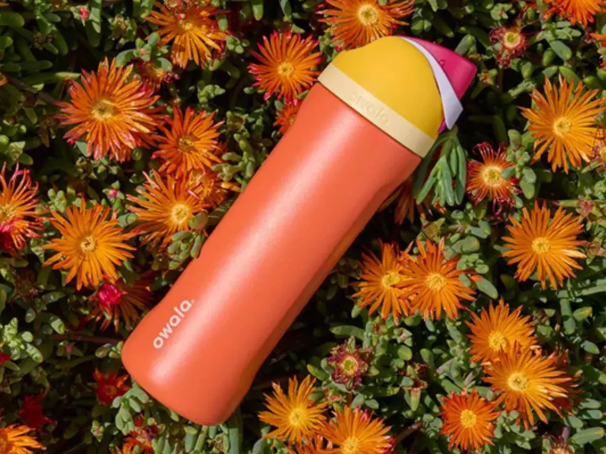 Owala FreeSip Water Bottle — free sample: Get a FREE Owala FreeSip Water Bottle from Walmart with TopCashback—keeps drinks cold 24 hrs, stainl