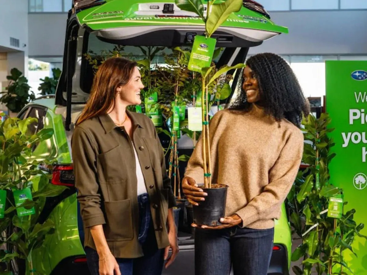 Subaru Tree — free sample: Reserve a FREE tree from Subaru and pick it up April 8–11 (8 AM–8 PM) at participating dealers. 🌳 W