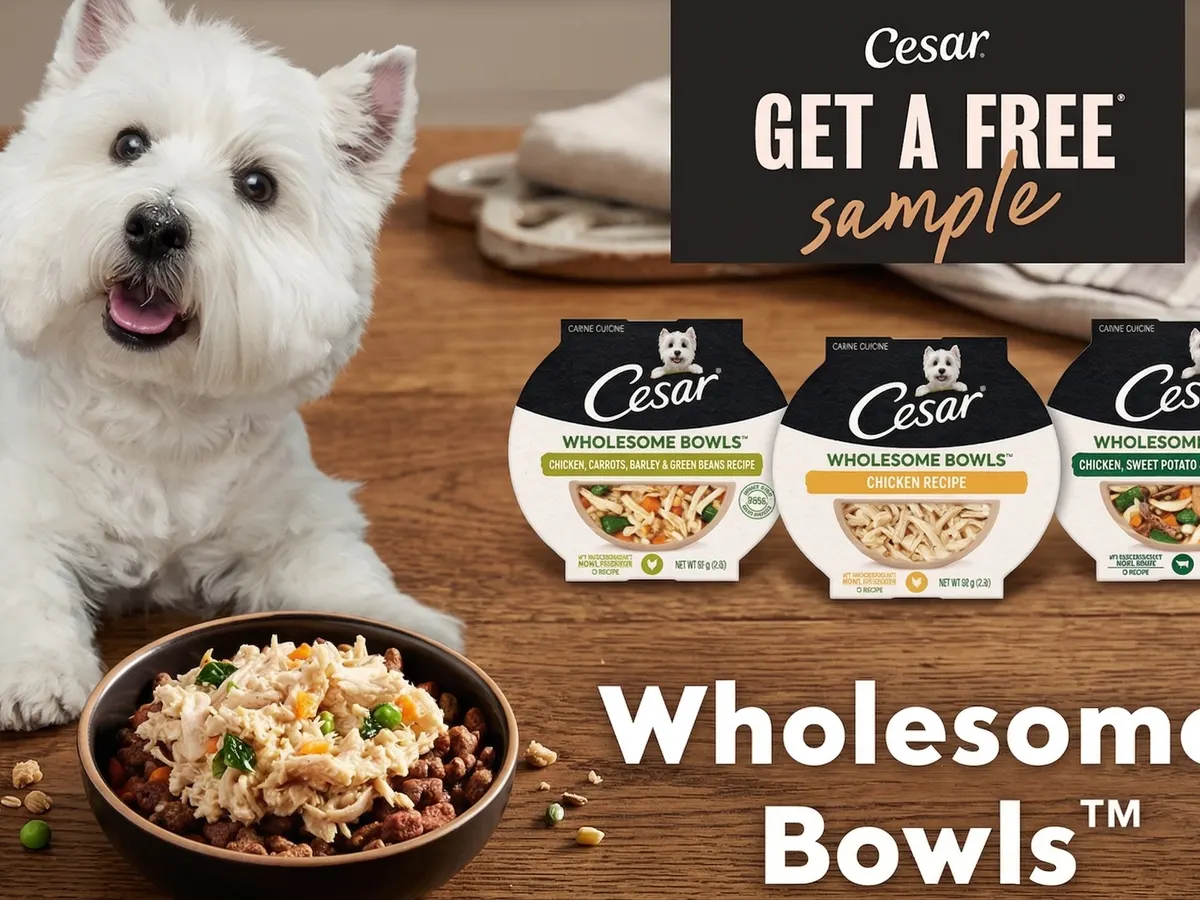 CESAR Wholesome Bowls