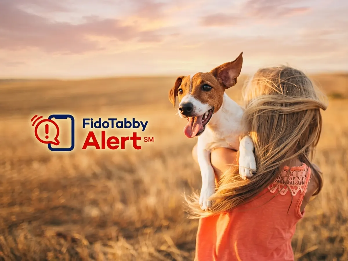 FidoAlert Pet ID Tag and Network Registration — free sample: A genuinely free pet ID tag paired with a nationwide alert network—when your dog or cat goes missing