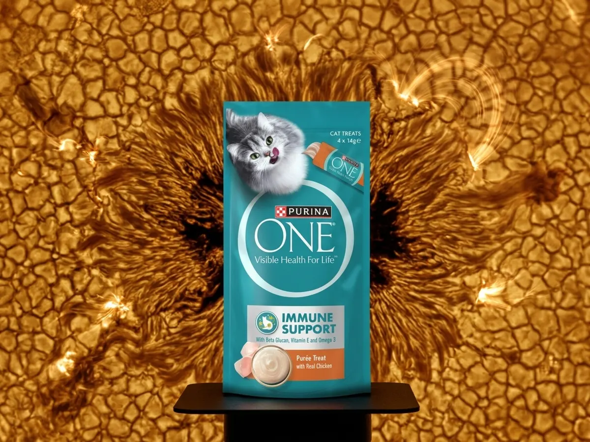 Purina ONE +Plus Immune Support Purées