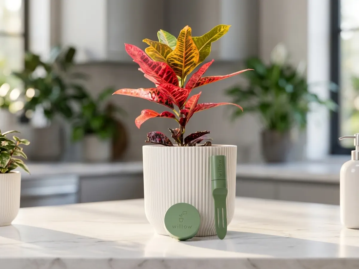 Win Willow Smart Home Plant Care Package: free sample: Enter free for a chance to win a $2,000+ prize package from Willow, the smart plant monitoring brand