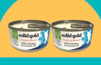 Free Cat Food from Solid Gold