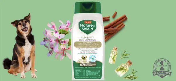 Protect Your Pup for Free! Get Hartz Nature's Shield Flea & Tick Shampoo!: free sample: You can apply to receive a free sample of Hartz Nature's Shield Flea & Tick Dog Shampoo through a sa