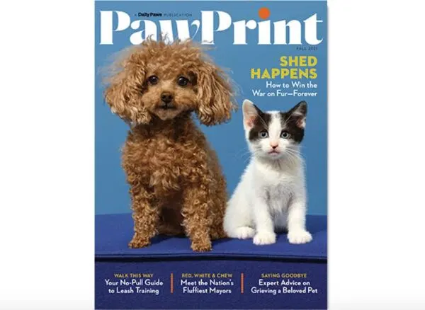 Free PawPrint Magazine: free sample: Are you a pet lover? If you are, I am sure that you would love to get this PawPrint Magazine. You ca