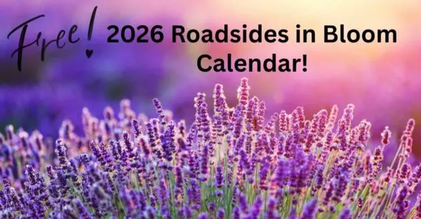 Celebrate Nature: Free 2026 Roadsides in Bloom Calendar!: free sample: Sign up to receive a FREE 2026 Roadsides in Bloom Calendar from West Virginia’s Adopt A Highway prog
