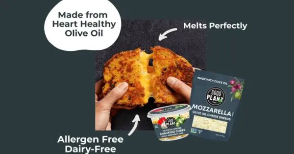 Melt, Slice, Enjoy—FREE Good Planet Olive Oil Cheese After Rebate! — free sample: Score a FREE Good Planet Foods Olive Oil Cheese through this easy rebate offer! Simply click the ‘Fo