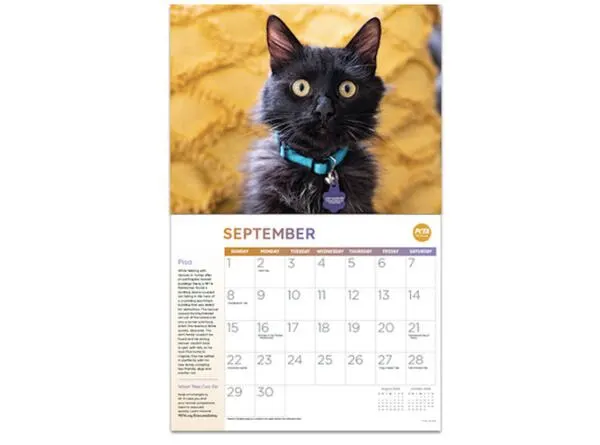 2024 "Rescued!" Calendar for Free โ free sample: Get a free offer for a 2024 "Rescued!" Calendar from PETA. Interested individuals can request this c