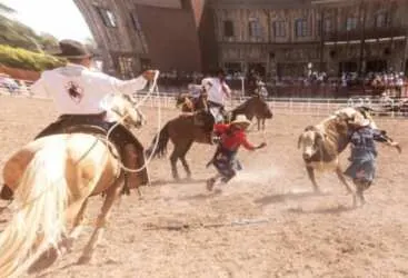 Circle Cheyenne Frontier Days Giveaway