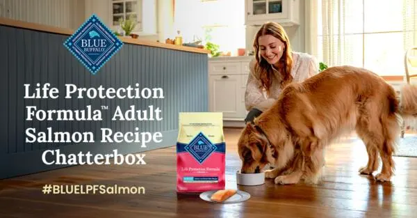 Free Blue Buffalo Life Protection Formula, Salmon Recipe!: free sample: Calling all dog parents! You could be one of 240 lucky people selected to receive a FREE Blue Buffal