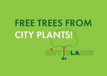 Trees For Your Street for Free