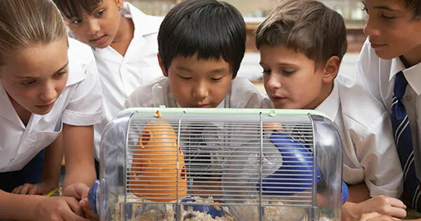 Inspire Students: Free Classroom Pet Grant for Teachers!: free sample: Educators can apply for the Pets in the Classroom grant, which provides financial support for purcha