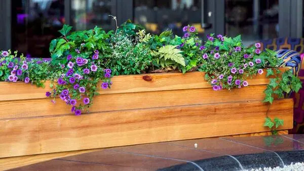 Grab Your Free Planter Box, Don’t Miss Out!: free sample: TrySpree offers a contest where participants can win a free Planter Box. To enter, visit the contest