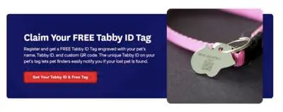 Meow-tastic Deal: Free Personalized Tabby Alert Pet ID Tags!