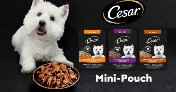 Cesar Mini-Pouches Sample, FREE for Your Furry Friend!: free sample: Pamper your pup with a delicious treat, claim a free sample of CESAR® Mini-Pouches Dog Food today! T