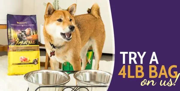 Limited Freebie: 3.5-4 lb. Bag of Zignature Dog Food: free sample: Get a FREE 3.5-4 lb. bag of Zignature Dog Food! 🐶 Click “Fetch Coupon” to print your coupon, then r