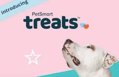 PetSmart Treats - Birthday Surprise for Free for Your Pet
