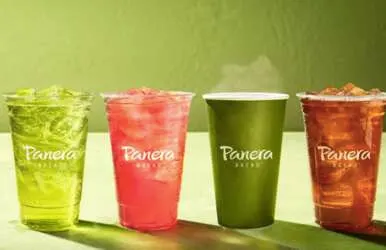 Drinks for Free at Panera