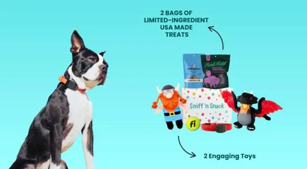 Get a FREE Sniff ’n Snack Box for Your Pup, Toys, Treats & Free Shipping!: free sample: Treat your pup to a FREE Sniff 'n Snack Box filled with all-natural treats, toys, and fun surprises!
