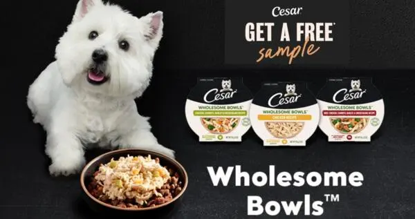 Gourmet Dog Dining, Free CESAR Wholesome Bowls: free sample: Get a FREE sample of CESAR Wholesome Bowls Dog Food! Click the “Follow Link” button, answer a few qu