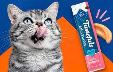 Discover Blue Buffalo Tastefuls with a FREE Chatterbox Kit
