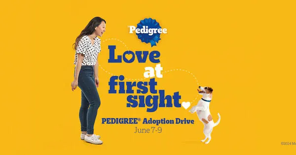 Free Dog Adoption with Pedigree Adoption Drive on June 7th - 9th!: free sample: Pedigree is covering adoption fees for dogs from June 7th to June 9th, 2024, as part of their Love a