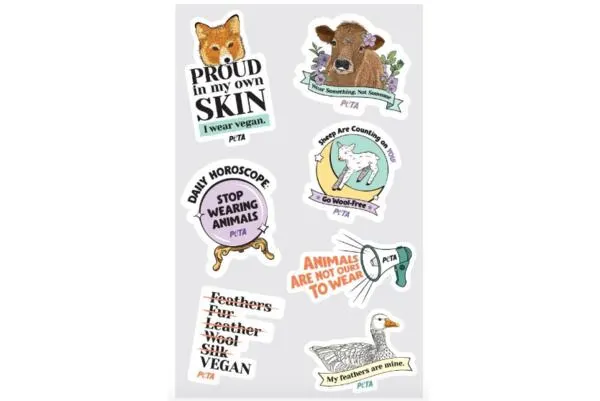 Stickers for Free to Promote Never Wearing Animals: free sample: Request these Promote Never Wearing Animals stickers for free! Click the 'Get Sample' button down be