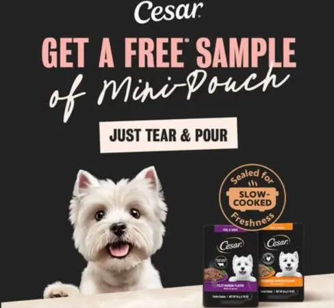 Spoil Your Furry Friend with a FREE CESAR Mini-Pouch Sample: free sample: Available again! Score a FREE sample of CESAR Mini-Pouch Dog Food. Simply click the "Get Offer" butt