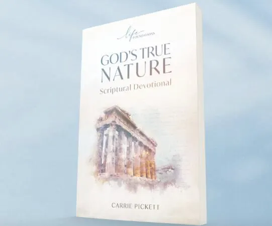 Copy of God's True Nature by Carrie Pickett for Free!!: free sample: God's True Nature by Carrie Pickett is available at Life Foundations for FREE, along with FREE Shipp