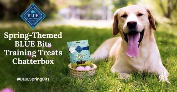 Make Training Fun! Free Blue Buffalo BLUE Bits Spring Treat Kit! — free sample: Apply to host a Blue Buffalo “Spring into Blue” party through Ripple Street to receive free Blue Buf
