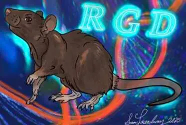 2026 Rat Genome Database Calendar, Grab Your Free Copy