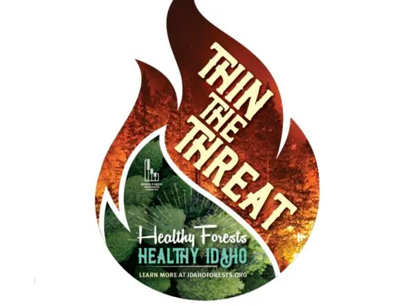 Support Healthy Forests, FREE Thin the Threat Sticker: free sample: Thin the Threat 3" x 4" sticker, perfect for your car window, cooler, computer, water bottle, and mo